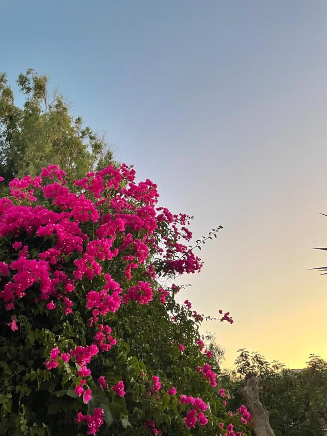Kamári Villa Maina المظهر الخارجي الصورة